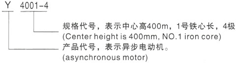 西安泰富西玛Y系列(H355-1000)高压JR117-4三相异步电机型号说明