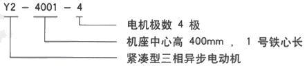 YR系列(H355-1000)高压JR117-4三相异步电机西安西玛电机型号说明